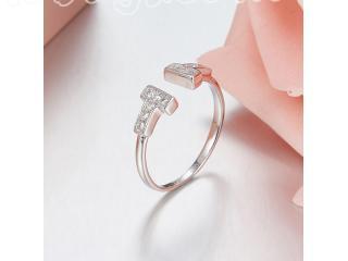 Tiffany & Co 指輪・リング TIFFANY T 日本未発売の素敵なリング